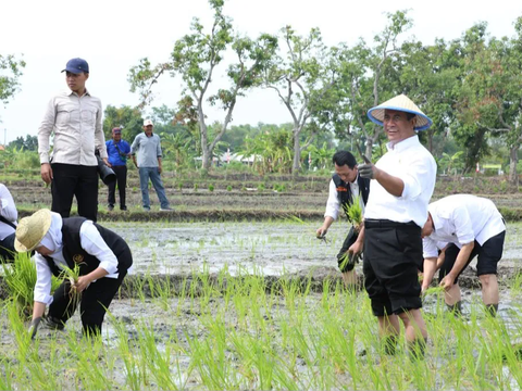 Percepatan Produksi Beras Nasional, Mentan Amran Serukan 'Tanam Culik' dari Tuban