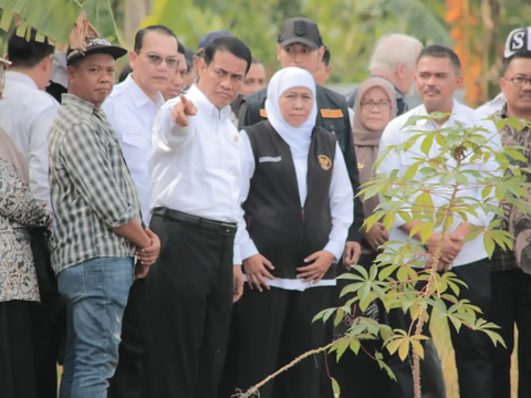 Percepatan Produksi Beras Nasional, Mentan Amran Serukan 'Tanam Culik' dari Tuban