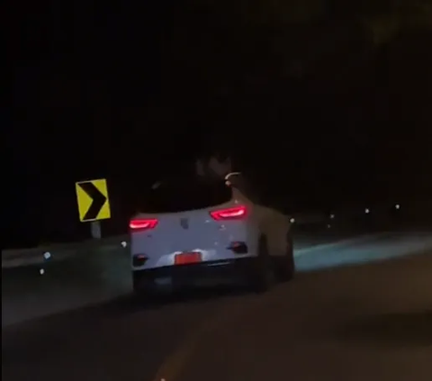 Viral Appearance of Long White Hair on Top of Car Sends Chills, Video Viewed 2.7 Million Times, Revealed When Seen Up Close