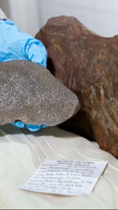 Meteorit Langka Berusia 4,6 Miliar Tahun