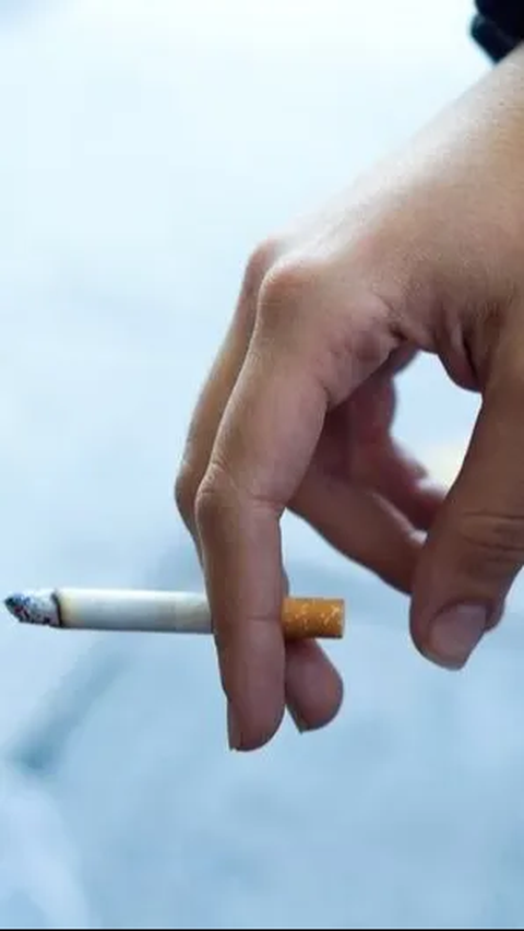 Rokok Putih Adalah Rokok Tanpa Campuran Cengkih, Berikut Jenis Rokok dan Penjelasannya