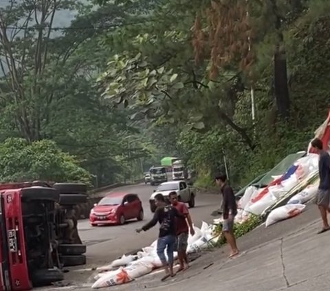 Tak Kuat Menanjak di Tanjakan Sitinjau Lauik, Truk Bermuatan Beras Ini Terguling hingga Terbalik