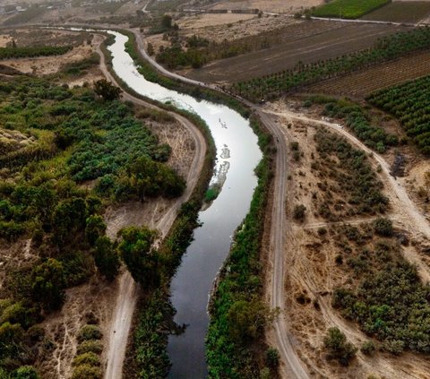 Di Luar Nalar! Zionis Israel Klaim Hujan Milik Mereka, Warga Palestina Dilarang Mengumpulkan Air Hujan Sejak 1967