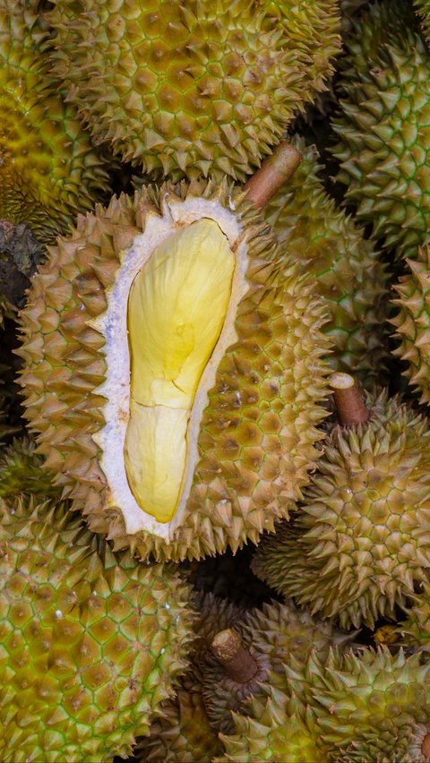 Tips for Choosing Ripe, Soft, and Ready-to-Eat Durian