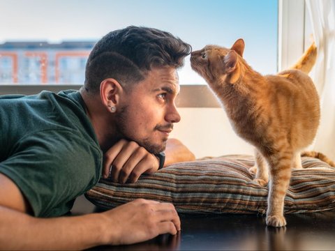 5 Hal yang Harus Dipersiapkan Sebelum Memelihara Kucing, Bikin Anabul Nyaman di Rumah