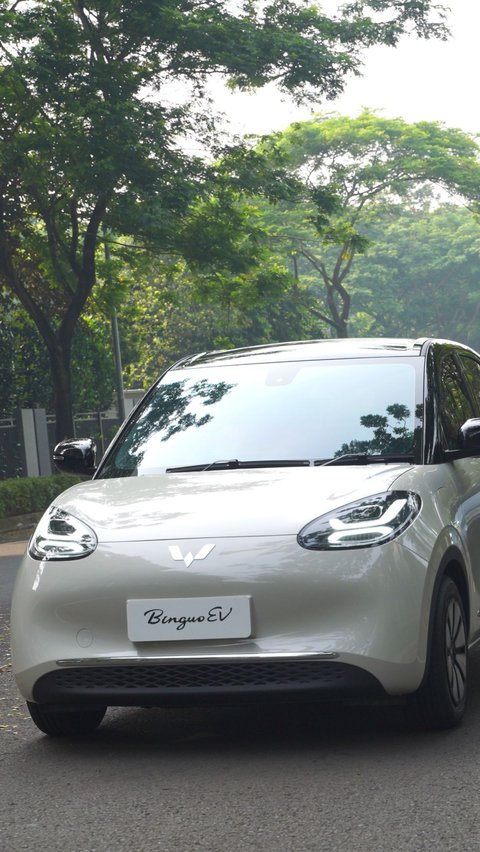 Try Wuling Binguo EV, Electric Car with 4 Driving Modes.