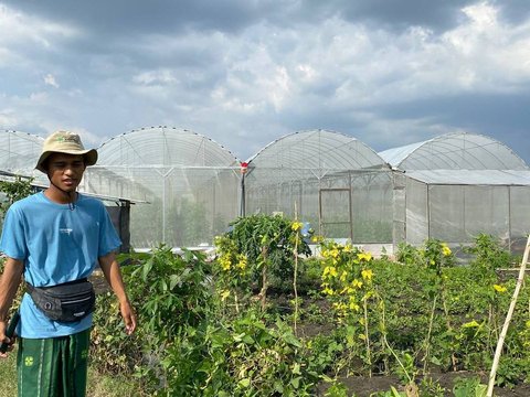 Kisah “Profesor” Melon dari Perdesaan Bojonegoro, Telaten Rawat Buah Premium Cuan Puluhan Juta per Bulan