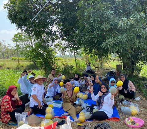 Kisah “Profesor” Melon dari Perdesaan Bojonegoro, Telaten Rawat Buah Premium Cuan Puluhan Juta per Bulan