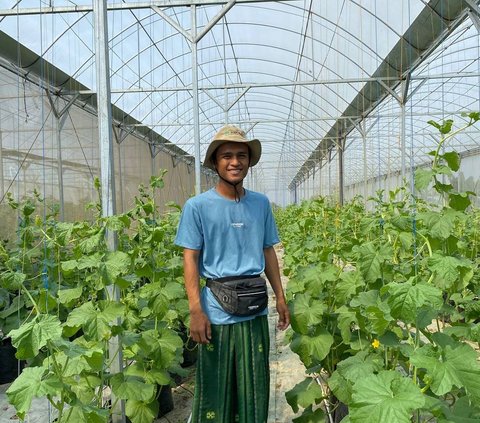 Kisah “Profesor” Melon dari Perdesaan Bojonegoro, Telaten Rawat Buah Premium Cuan Puluhan Juta per Bulan