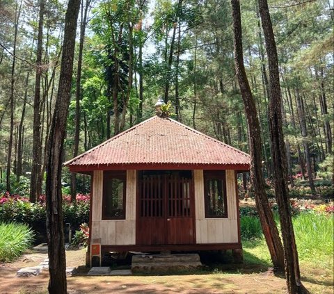 Hutan di Banyuwangi Ini Jadi Rumah Ibadah 6 Agama Berbeda, Bikin Hati Adem Ayem