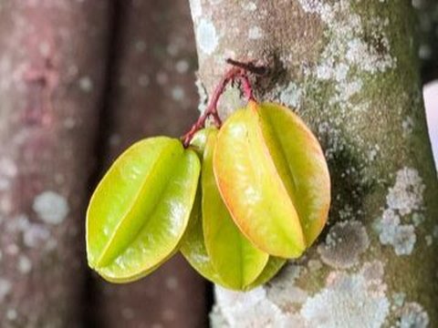 Warisan untuk Anak Cucu