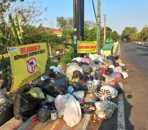 Sebabkan Pencemaran Lingkungan, Ini 5 Cara Pemkab Sleman Atasi Masalah Produksi Sampah Rumah Tangga