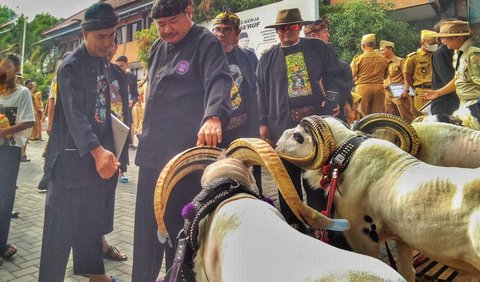 Dengan pemasangan chip itu, menurut Beni, di manapun domba asli Garut itu berada pada saat dikawinkan dengan turunan domba Garut lainnya akan tetap terlihat.<br>