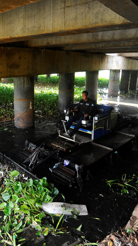 Petugas Dinas PUPR Kota Depok menggunakan alat truxor saat membersihkan gulma eceng gondok di Situ pPengarengan, Depok, Jawa Barat, Selasa (28/11/2023).<br>