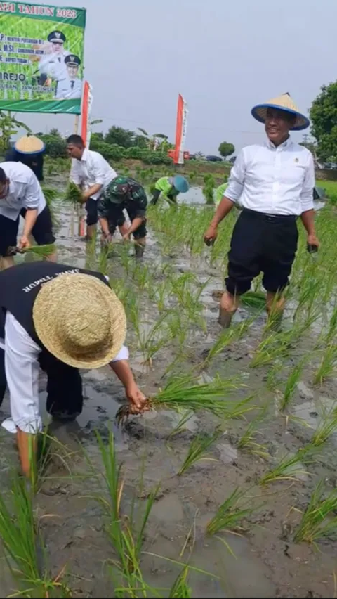 Sengit, Ibu Gubernur Lomba Tanam Padi lawan Menteri Pertanian di Sawah, Siapakah Pemenangnya?