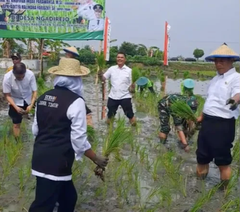 Sengit, Ibu Gubernur Lomba Tanam Padi lawan Menteri Pertanian di Sawah, Siapakah Pemenangnya?