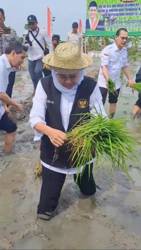 Gubernur Lomba Tanam Padi Lawan Menteri Pertanian