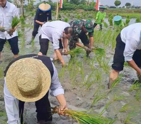 Sengit, Ibu Gubernur Lomba Tanam Padi lawan Menteri Pertanian di Sawah, Siapakah Pemenangnya?