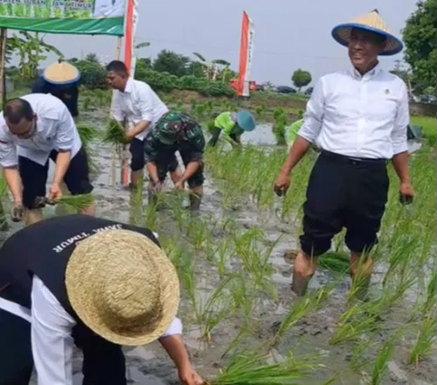 Sengit, Ibu Gubernur Lomba Tanam Padi lawan Menteri Pertanian di Sawah, Siapakah Pemenangnya?