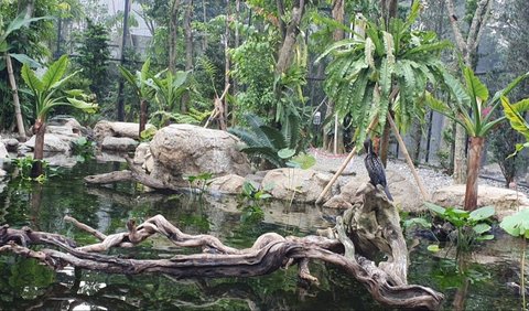 Gabungkan Konsep Kebun Binatang dan Museum