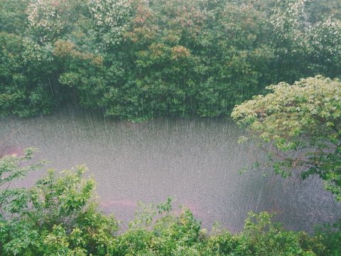 Prayers during the Rainy Season Taught by Prophet Muhammad SAW, Important for Muslims to Practice