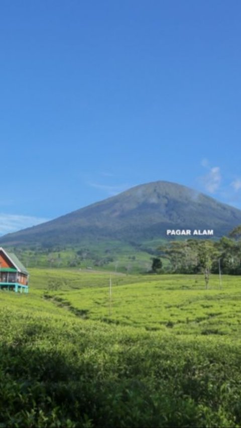 4 Fakta Gunung Dempo di Sumatra Selatan, Punya 2 Puncak hingga Misteri Manusia Harimau<br>