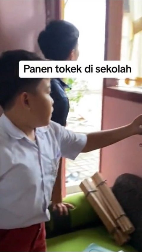 Viral Elementary School Kid Catches a Gecko to Help Scared Teacher, His Brave Action Receives Praise