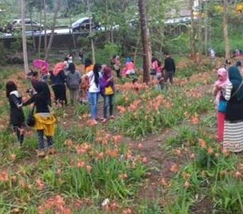 Keindahan Tempat Wisata Ini Pernah Rusak Setelah Viral di Medsos, Berikut Daftarnya