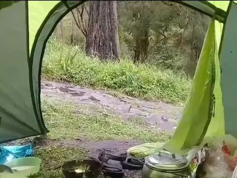 Still Relaxing in the Tent, This Climber Encounters a Leopard, What's the Ending....