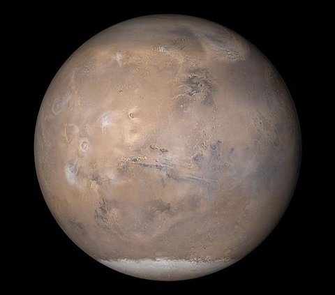 Hewan Ini Punya Peran Penting jika Manusia Mau Membangun Koloni di Mars