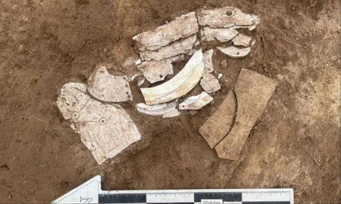 Viral Penemuan Cangkang Naga Berusia 6700 Tahun Lalu, Ternyata 'Makhluk Jadi-Jadian'