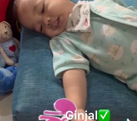 Viral hingga Disebut Reinkarnasi Albert Einstein, Ini Potret Kenkulus Si Bayi Jenius