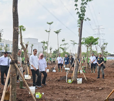 Begini Langkah Nyata Jokowi Atasi Perubahan Iklim