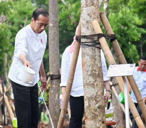 Begini Langkah Nyata Jokowi Atasi Perubahan Iklim