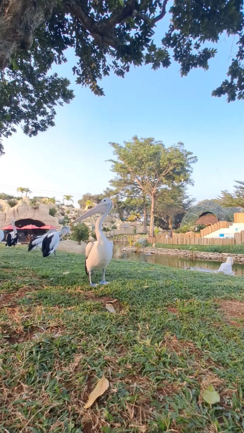 Pemkot Jaktim Bakal Bangun Puskesmas Kelurahan Kayu Putih di Atas Lahan Ruang Terbuka