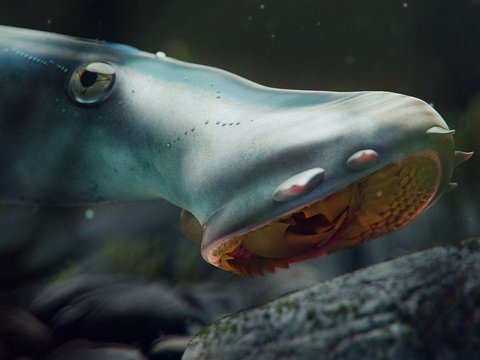 2 Largest Ancient Lamprey Species Finally Found, Fish with Terrifying Form