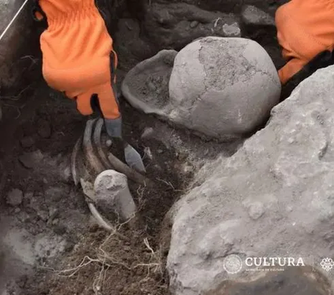 Strange, Archaeologists Discover Human Skull Shaped Like a Heart, How is that Possible?