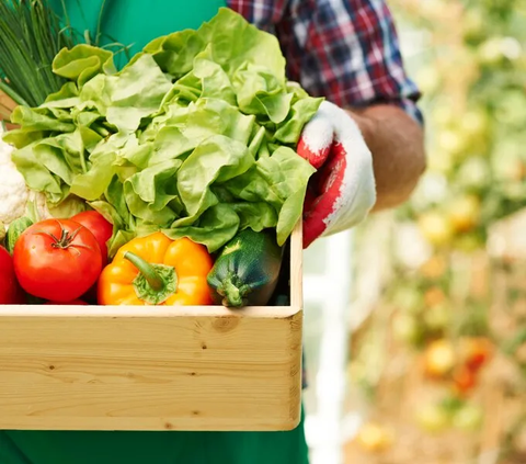 Makanan Organik vs Makanan Biasa, Apakah Makanan Organik Lebih Sehat? Ini Perbedaannya