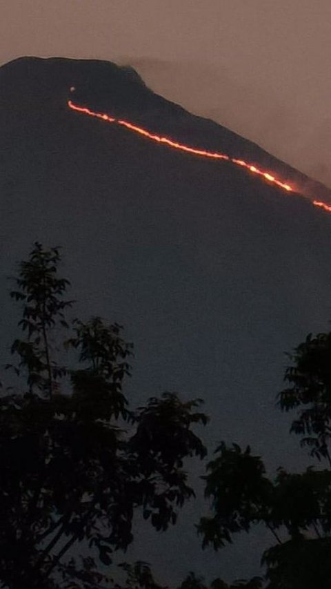 Kebakaran Terjadi di Gunung Penanggungan, Jalur Pendakian Ditutup<br>