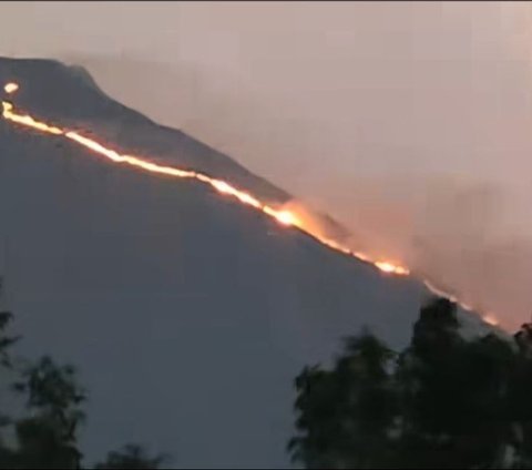 Kebakaran Terjadi di Gunung Penanggungan, Jalur Pendakian Ditutup