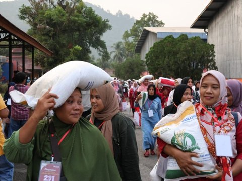 Stok Bulog Makin Kuat, Cadangan Beras Pemerintah Aman Sampai Tahun Depan