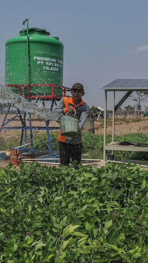 FOTO: Melihat Penggunaan Energi Terbarukan untuk Irigasi Pertanian di Cilacap