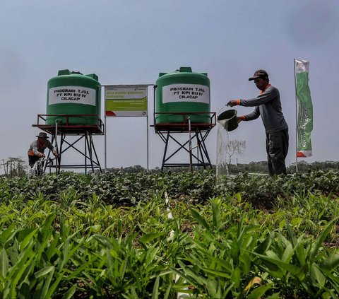 Melalui pengelolaan integrated farming berbasis energi baru dan terbarukan (EBT), petani di area persawahan Desa Energi Berdikari, Desa Kalijaran, Kecamatan Maos, Cilacap, Jawa Tengah, kini lebih mudah mendapatkan pasokan air untuk irigasi sawah.