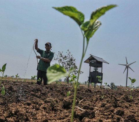 FOTO: Melihat Penggunaan Energi Terbarukan untuk Irigasi Pertanian di Cilacap