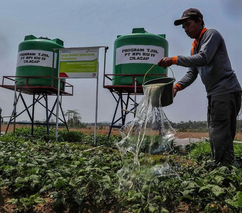 FOTO: Melihat Penggunaan Energi Terbarukan untuk Irigasi Pertanian di Cilacap