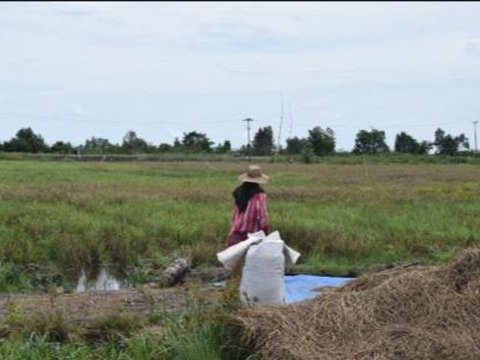 BPS Rilis Daya Beli Petani di Sulawesi Utara Semakin Baik di Bulan Oktober 2023