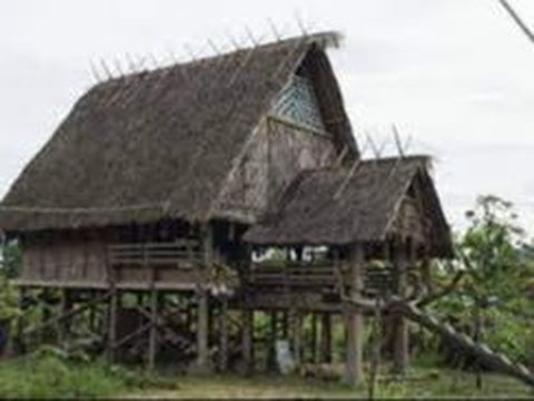 Rumah Tradisional di Sumbar Ini Dibangun Tanpa Paku, Ini Rahasianya Bisa Berdiri Kokoh