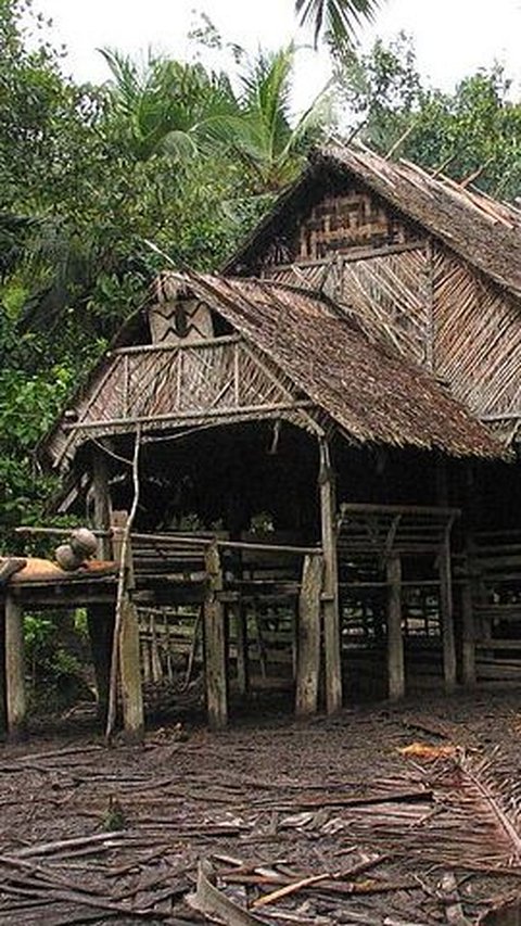 <b>Rumah Tradisional di Sumbar Ini Dibangun Tanpa Paku, Ini Rahasianya Bisa Berdiri Kokoh</b><br>