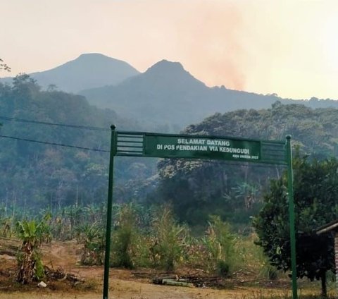 Kebakaran Gunung Penanggungan Hanguskan 80 Hektare Padang Savana