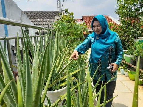 Perempuan di Tangerang Sulap Atap Rumah Jadi “Supermarket”, Ada Sayur hingga Ikan